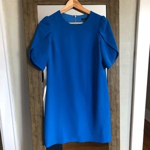 Cynthia Steefe (Nordstrom) Blue Dress